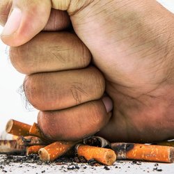 Supporting image for Brian