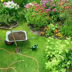 Supporting image for Ann and Steven