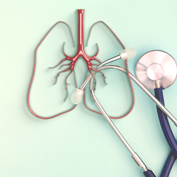 Supporting image for Ann